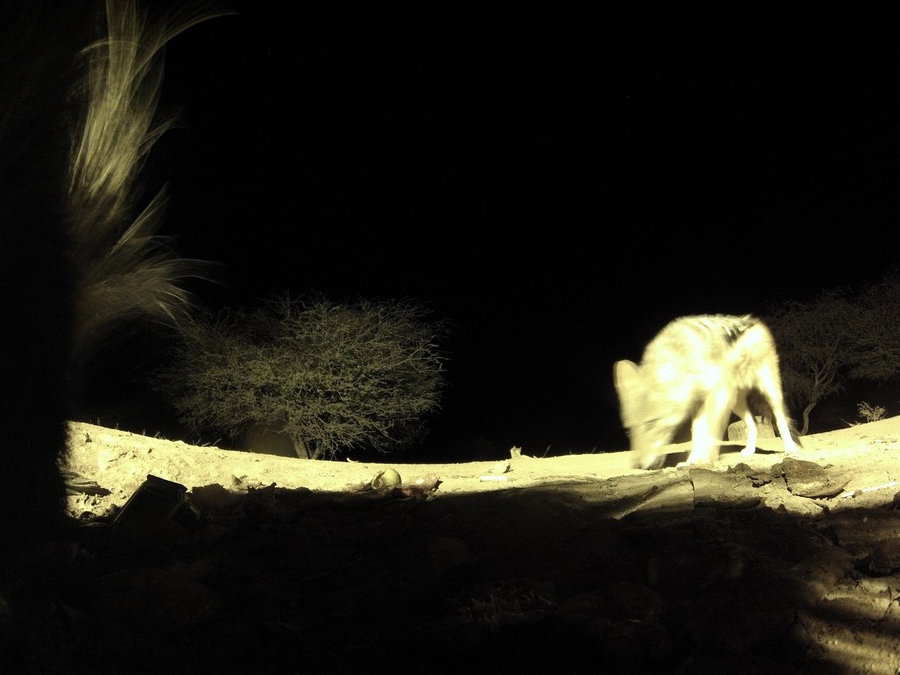 [11041] 2016_06_23_19_55_09_Africa_Hero3-Silver_Edition_IMG__00901.jpg