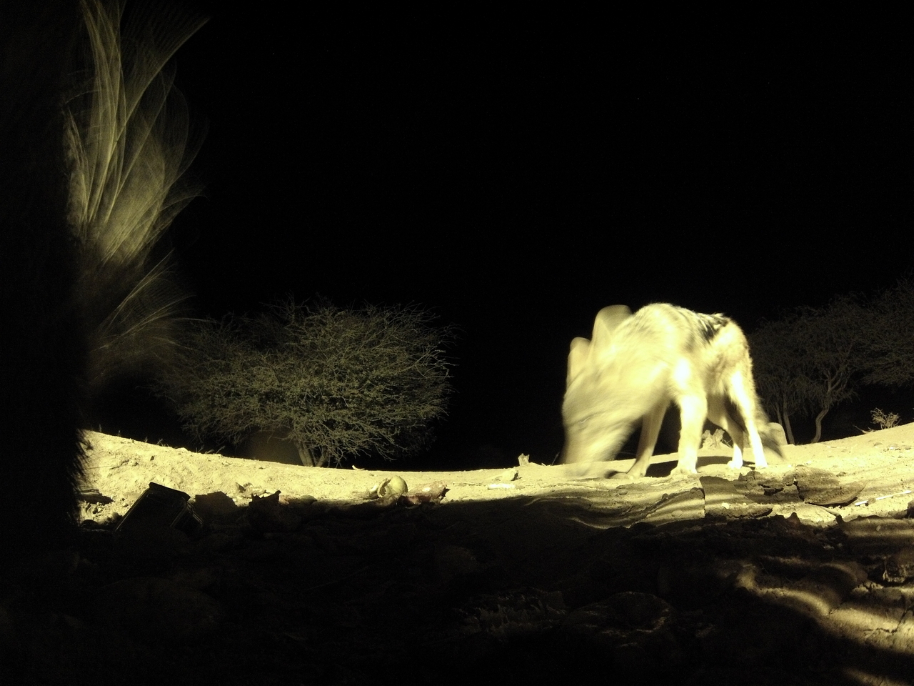 [11050] 2016_06_23_19_55_17_Africa_Hero3-Silver_Edition_IMG__01351.jpg