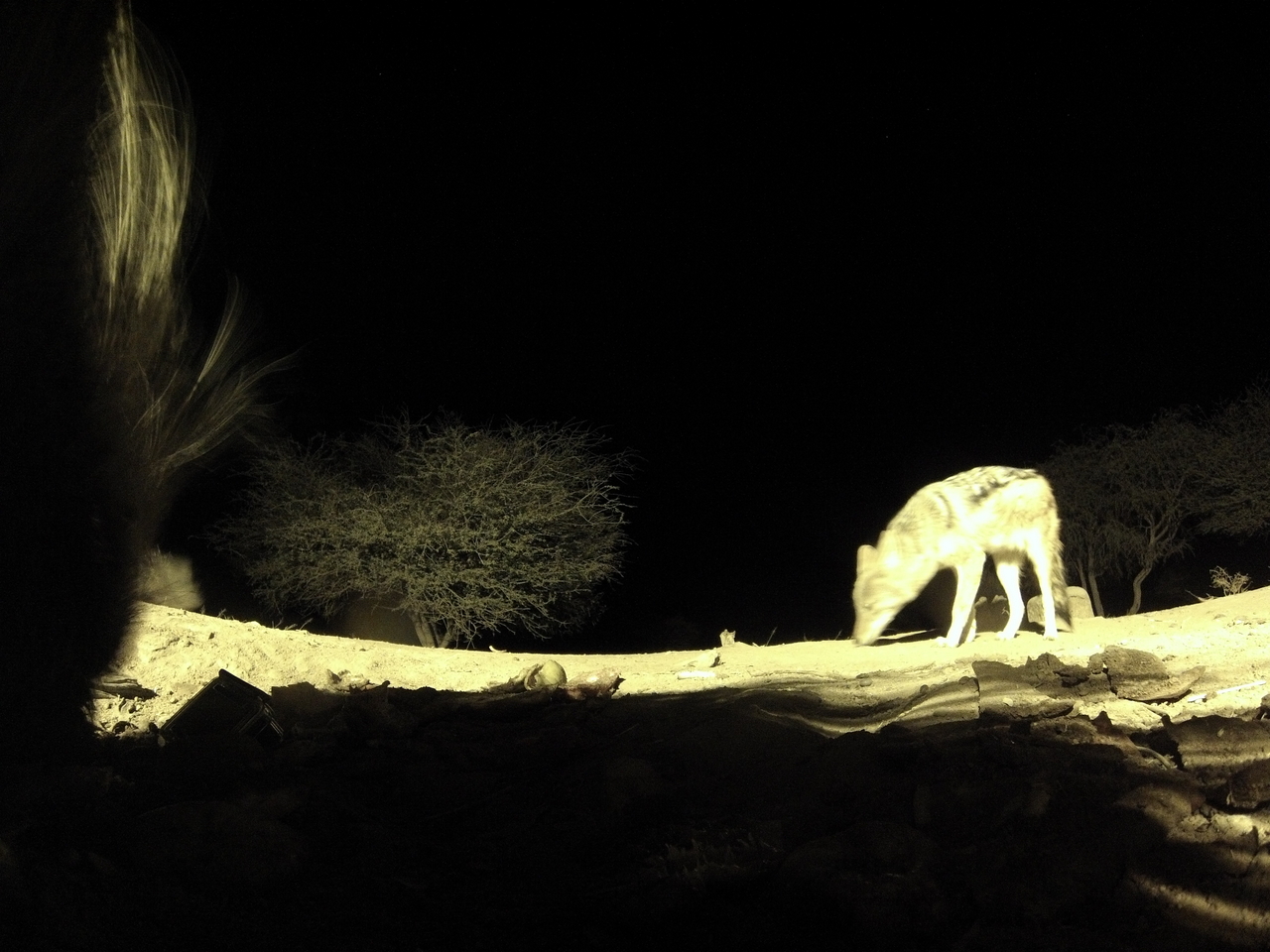 [11060] 2016_06_23_19_55_29_Africa_Hero3-Silver_Edition_IMG__01354.jpg