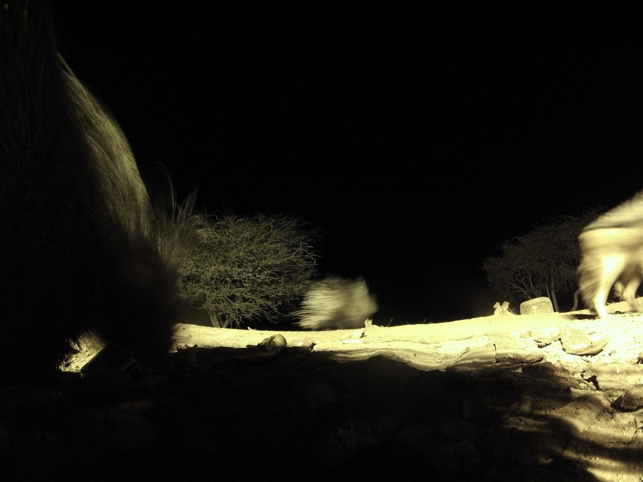 [11067] 2016_06_23_19_55_37_Africa_Hero3-Silver_Edition_IMG__00908.jpg