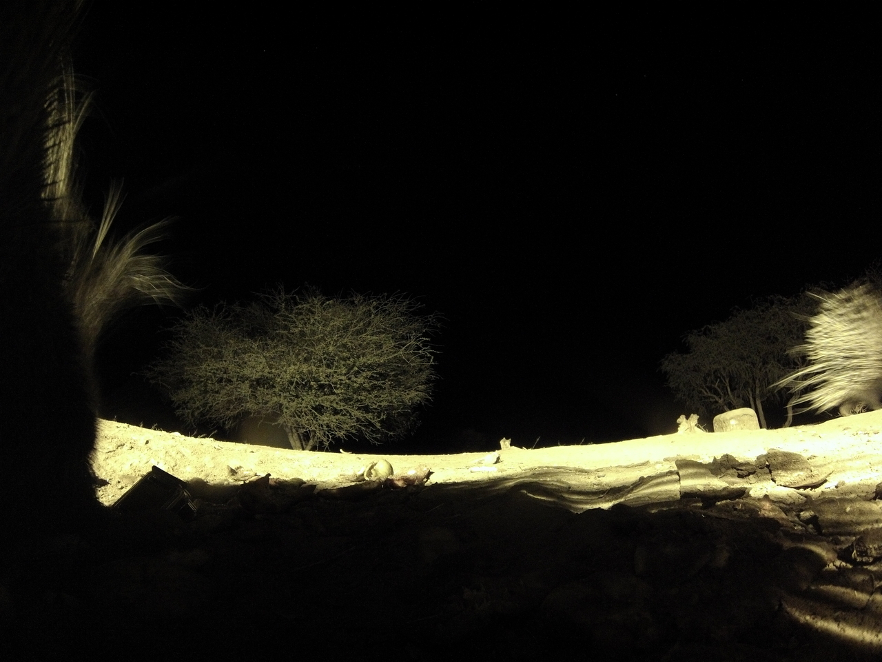 [11086] 2016_06_23_19_55_57_Africa_Hero3-Silver_Edition_IMG__01361.jpg