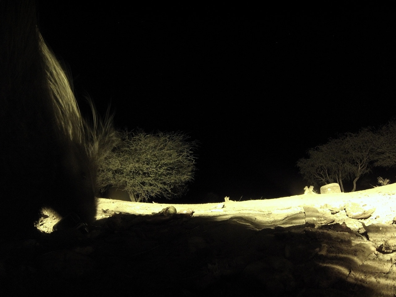 [11091] 2016_06_23_19_56_05_Africa_Hero3-Silver_Edition_IMG__00915.jpg