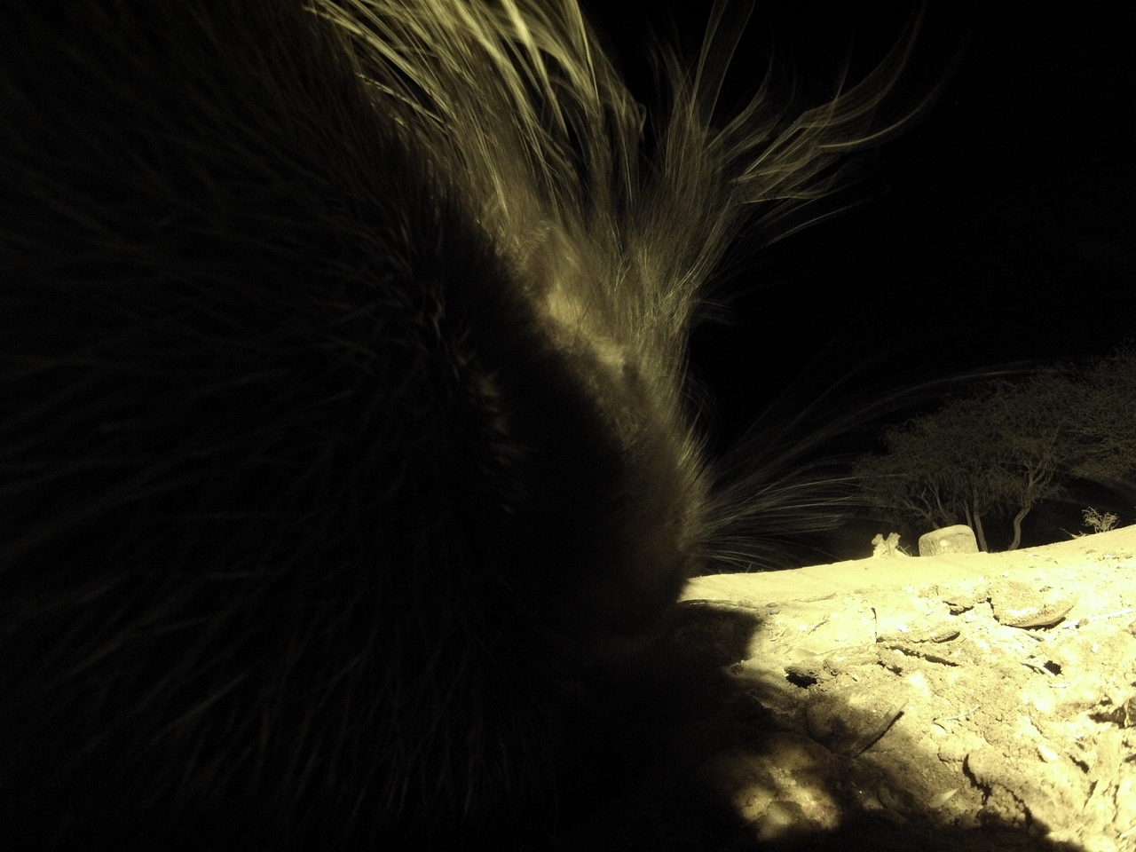 [11105] 2016_06_23_19_56_21_Africa_Hero3-Silver_Edition_IMG__00919.jpg