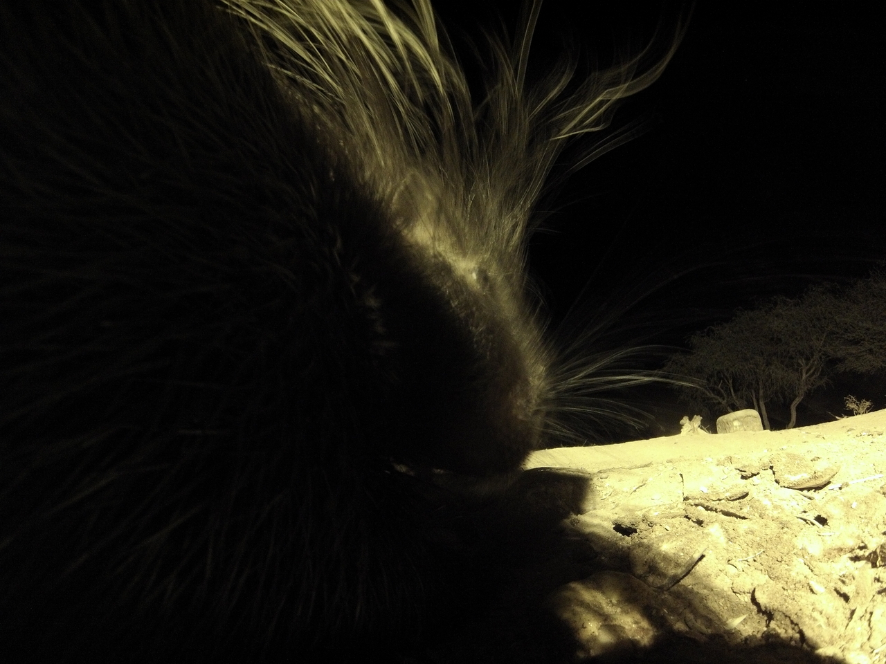 [11109] 2016_06_23_19_56_25_Africa_Hero3-Silver_Edition_IMG__00920.jpg