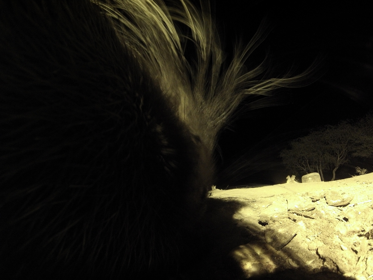 [11113] 2016_06_23_19_56_29_Africa_Hero3-Silver_Edition_IMG__00921.jpg