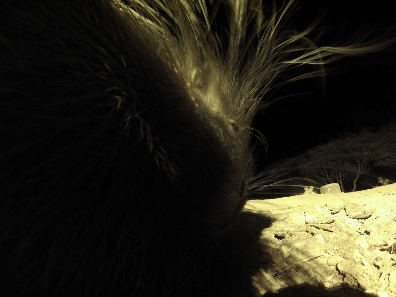 [11132] 2016_06_23_19_56_49_Africa_Hero3-Silver_Edition_IMG__01374.jpg