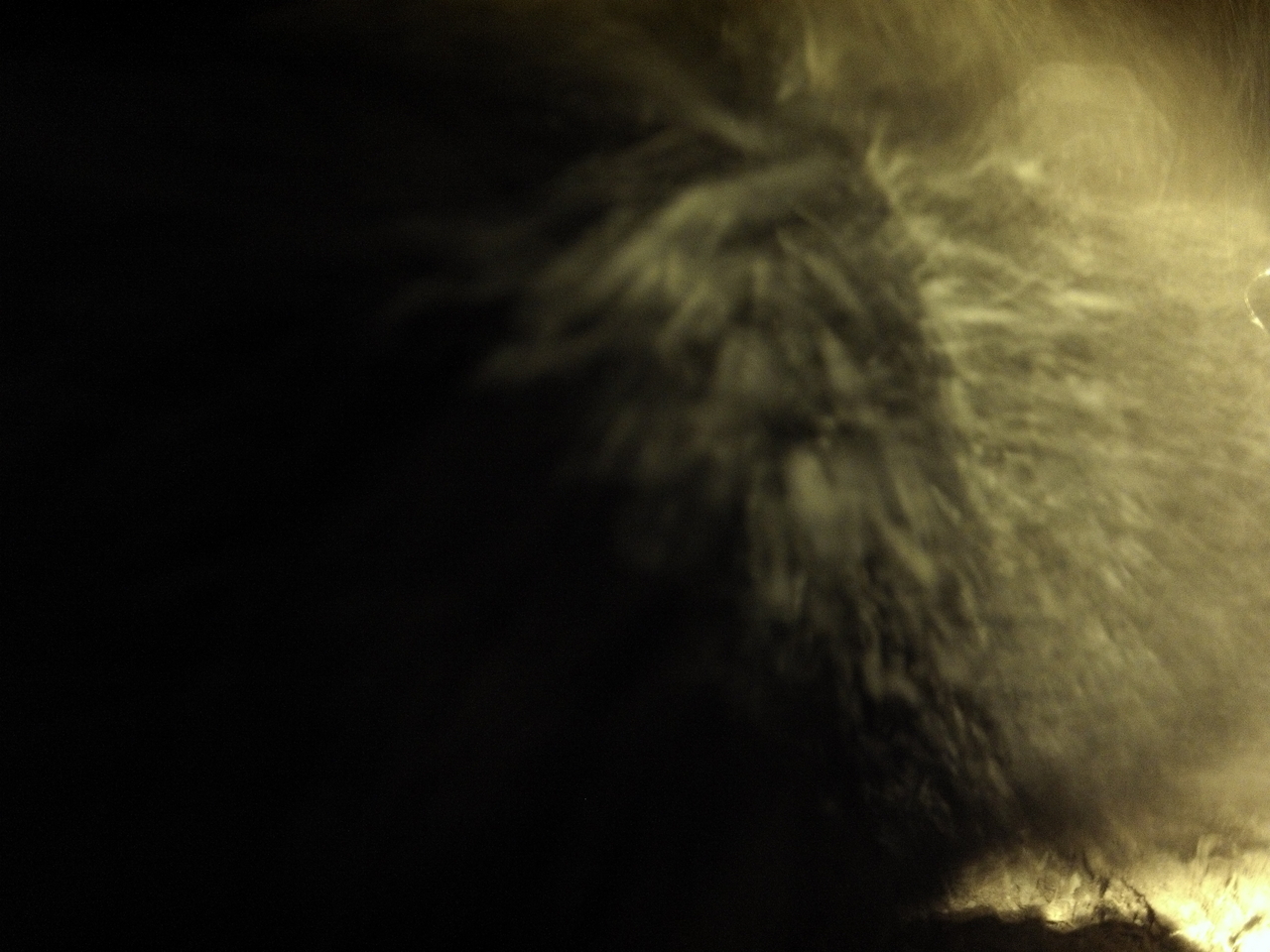 [11150] 2016_06_23_19_57_09_Africa_Hero3-Silver_Edition_IMG__01379.jpg