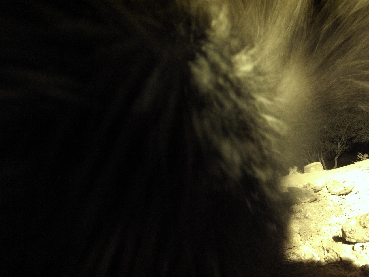 [11160] 2016_06_23_19_57_21_Africa_Hero3-Silver_Edition_IMG__01382.jpg