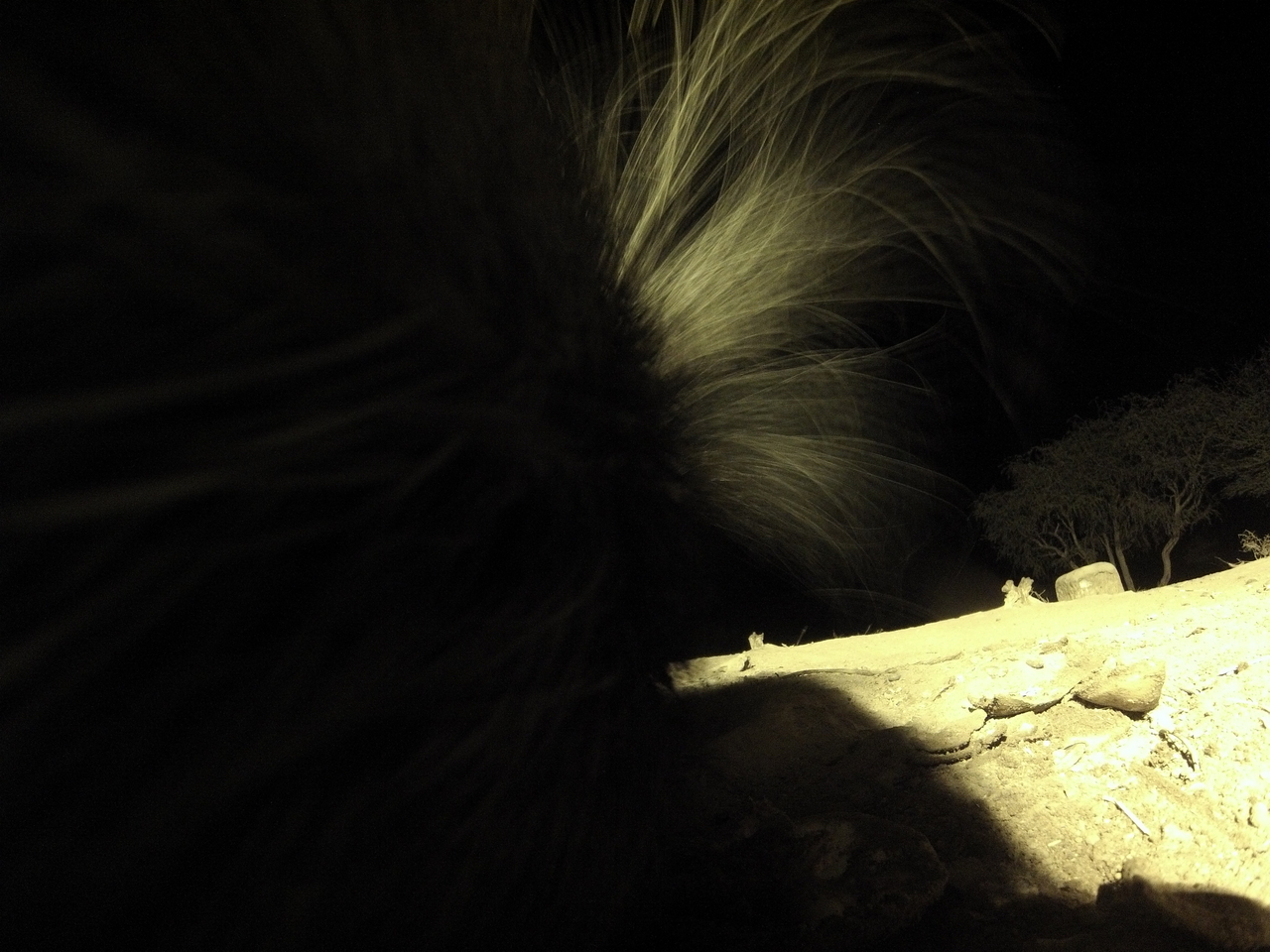 [11189] 2016_06_23_19_57_53_Africa_Hero3-Silver_Edition_IMG__00942.jpg