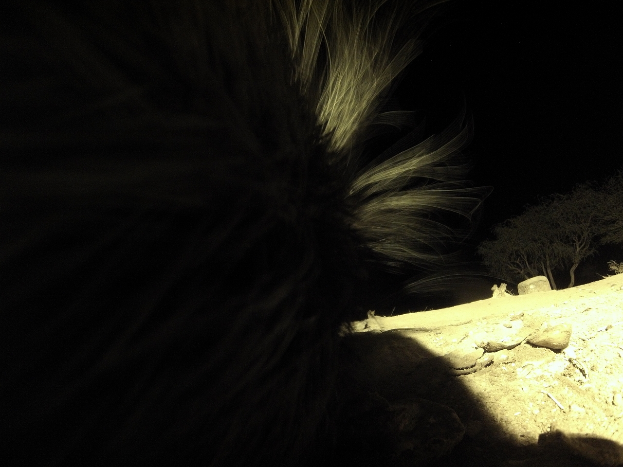 [11193] 2016_06_23_19_57_57_Africa_Hero3-Silver_Edition_IMG__00943.jpg