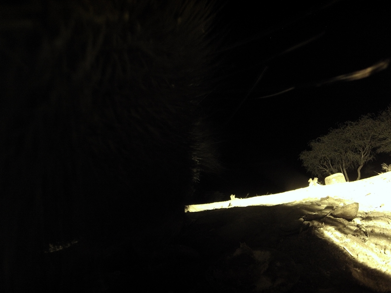 [11207] 2016_06_23_19_58_13_Africa_Hero3-Silver_Edition_IMG__00001.jpg