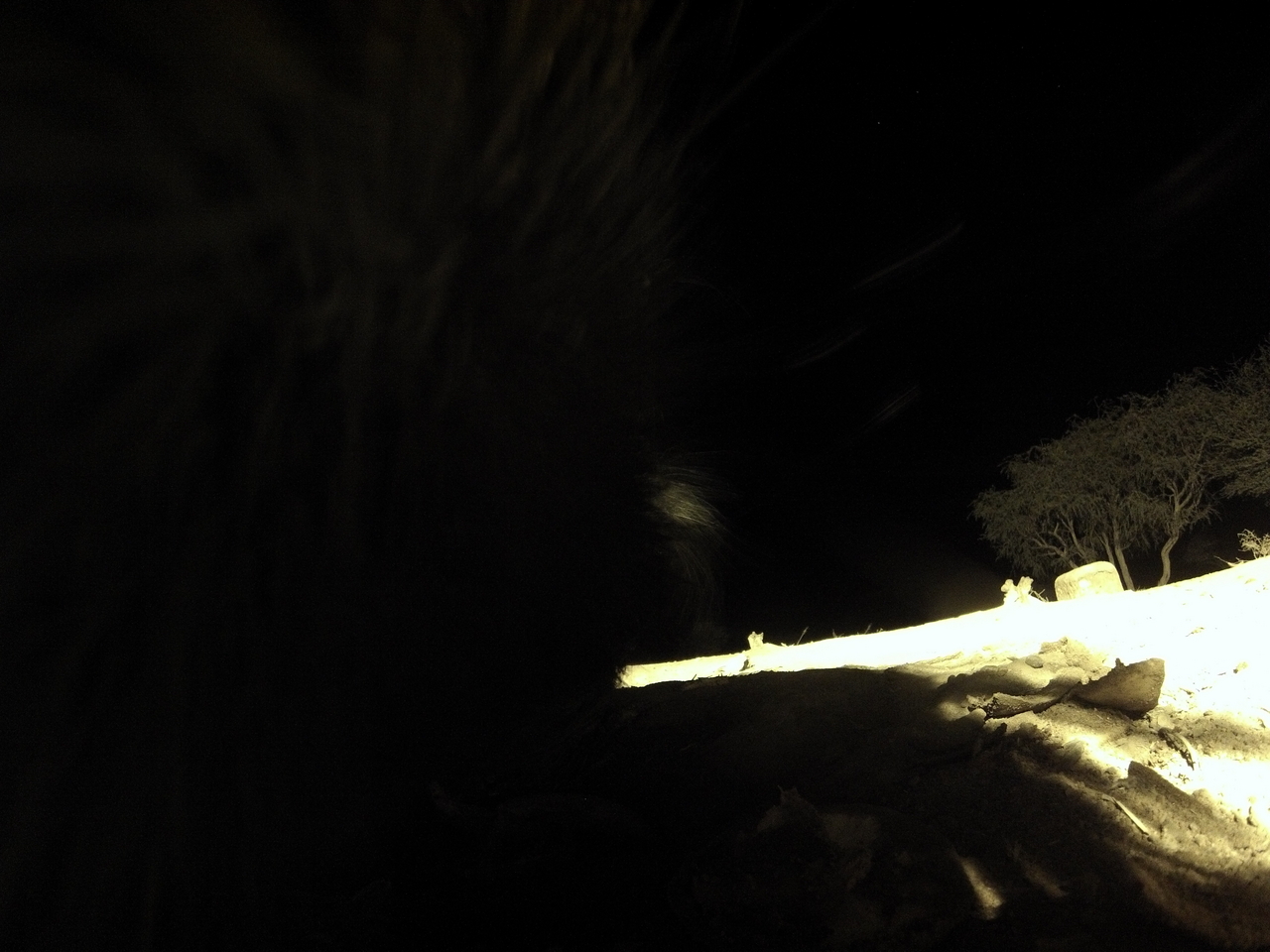 [11213] 2016_06_23_19_58_17_Africa_Hero3-Silver_Edition_IMG__00948.jpg