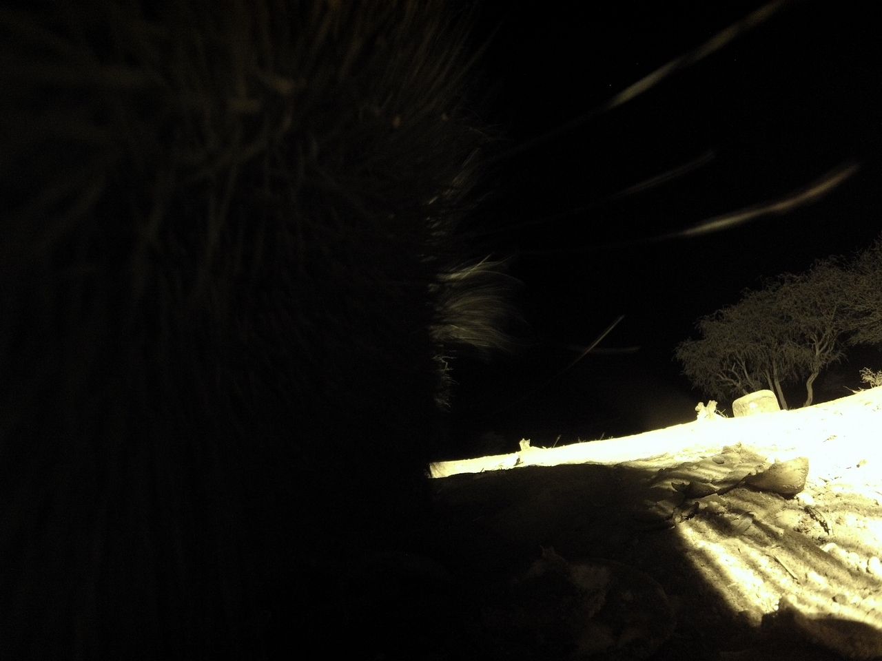 [11215] 2016_06_23_19_58_21_Africa_Hero3-Silver_Edition_IMG__00003.jpg