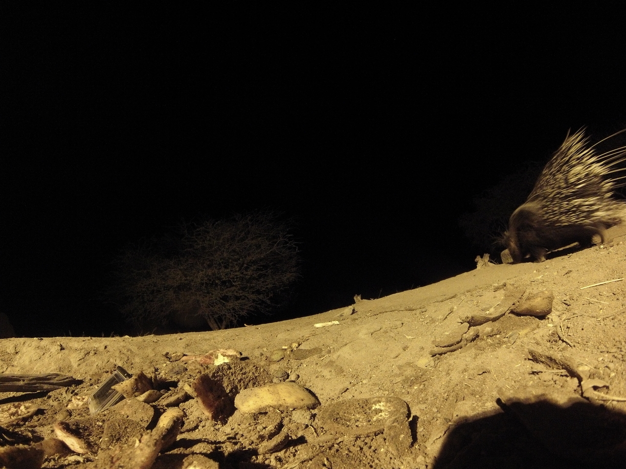 [11270] 2016_06_23_19_59_02_Africa_Hero3-Silver_Edition_IMG__00960.jpg