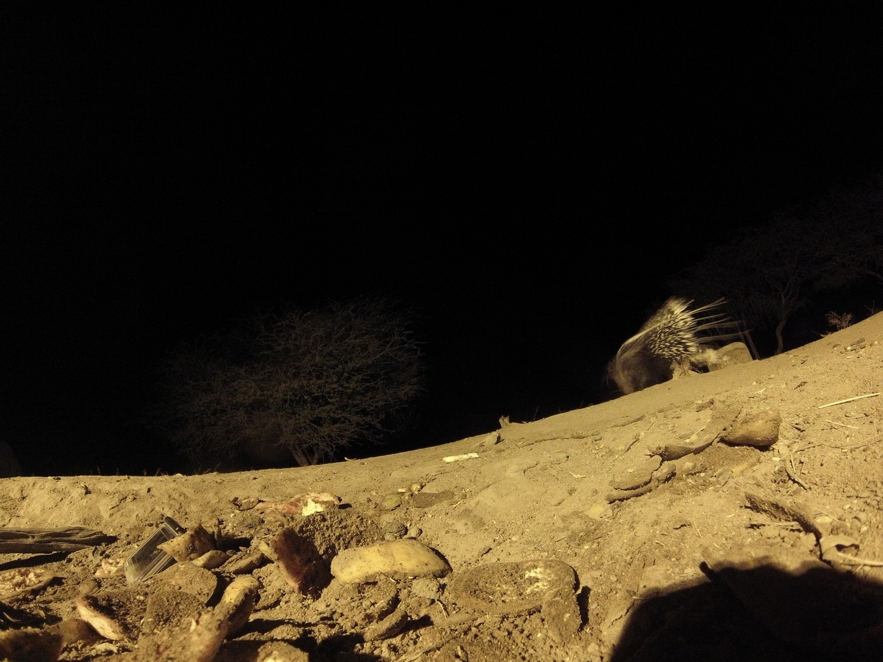 [11274] 2016_06_23_19_59_06_Africa_Hero3-Silver_Edition_IMG__01409.jpg