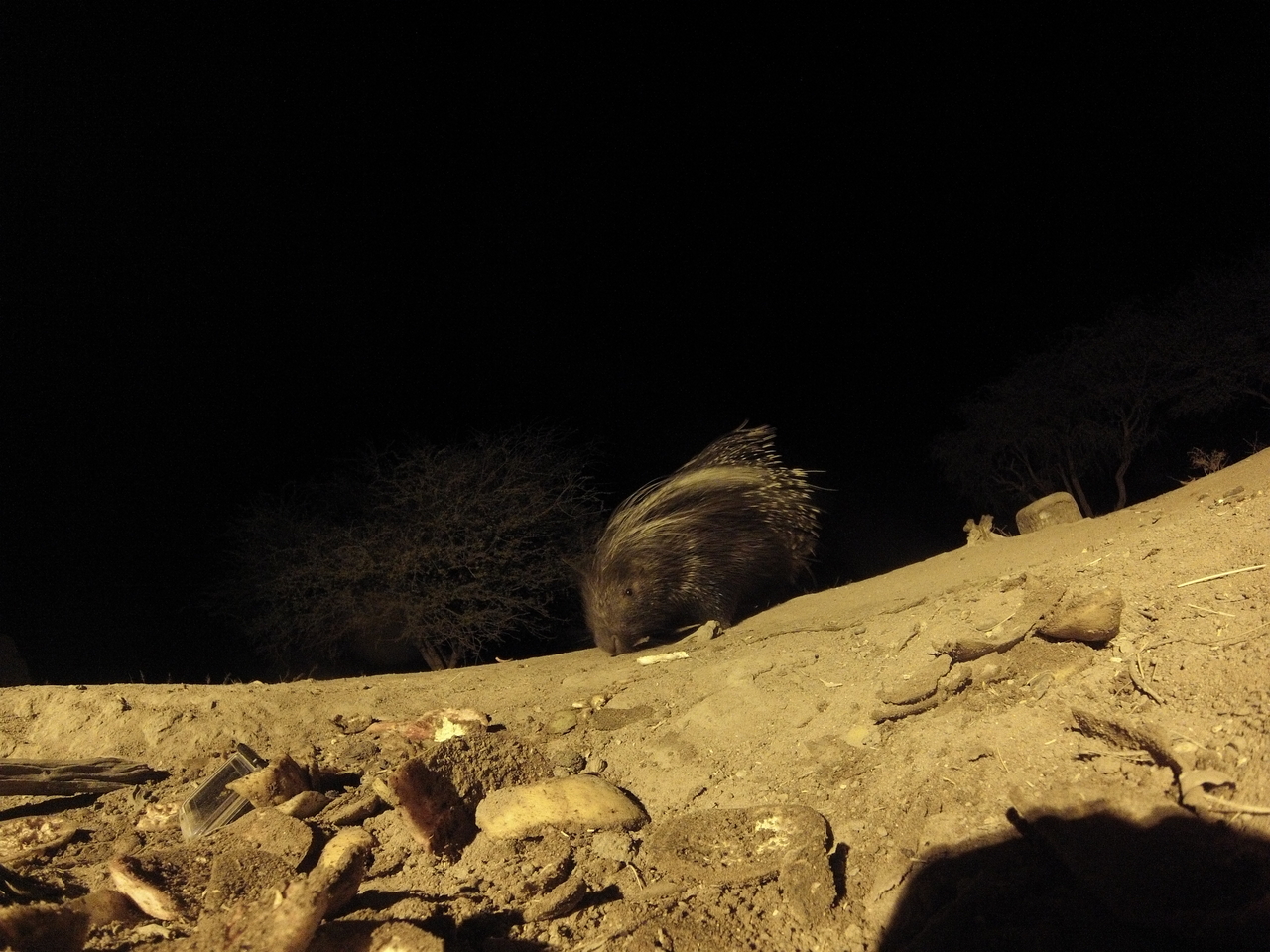 [11283] 2016_06_23_19_59_12_Africa_Hero3-Silver_Edition_IMG__00963.jpg