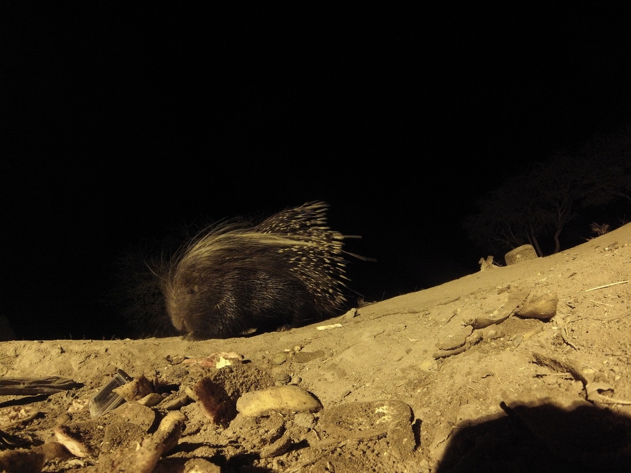 [11290] 2016_06_23_19_59_18_Africa_Hero3-Silver_Edition_IMG__00019.jpg