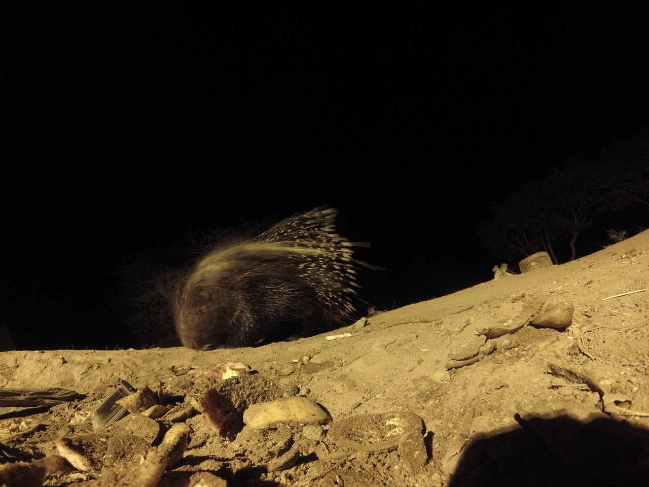 [11294] 2016_06_23_19_59_20_Africa_Hero3-Silver_Edition_IMG__00966.jpg