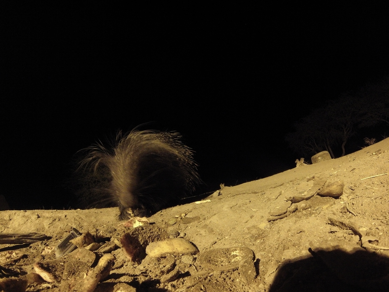 [11358] 2016_06_23_20_00_08_Africa_Hero3-Silver_Edition_IMG__00035.jpg