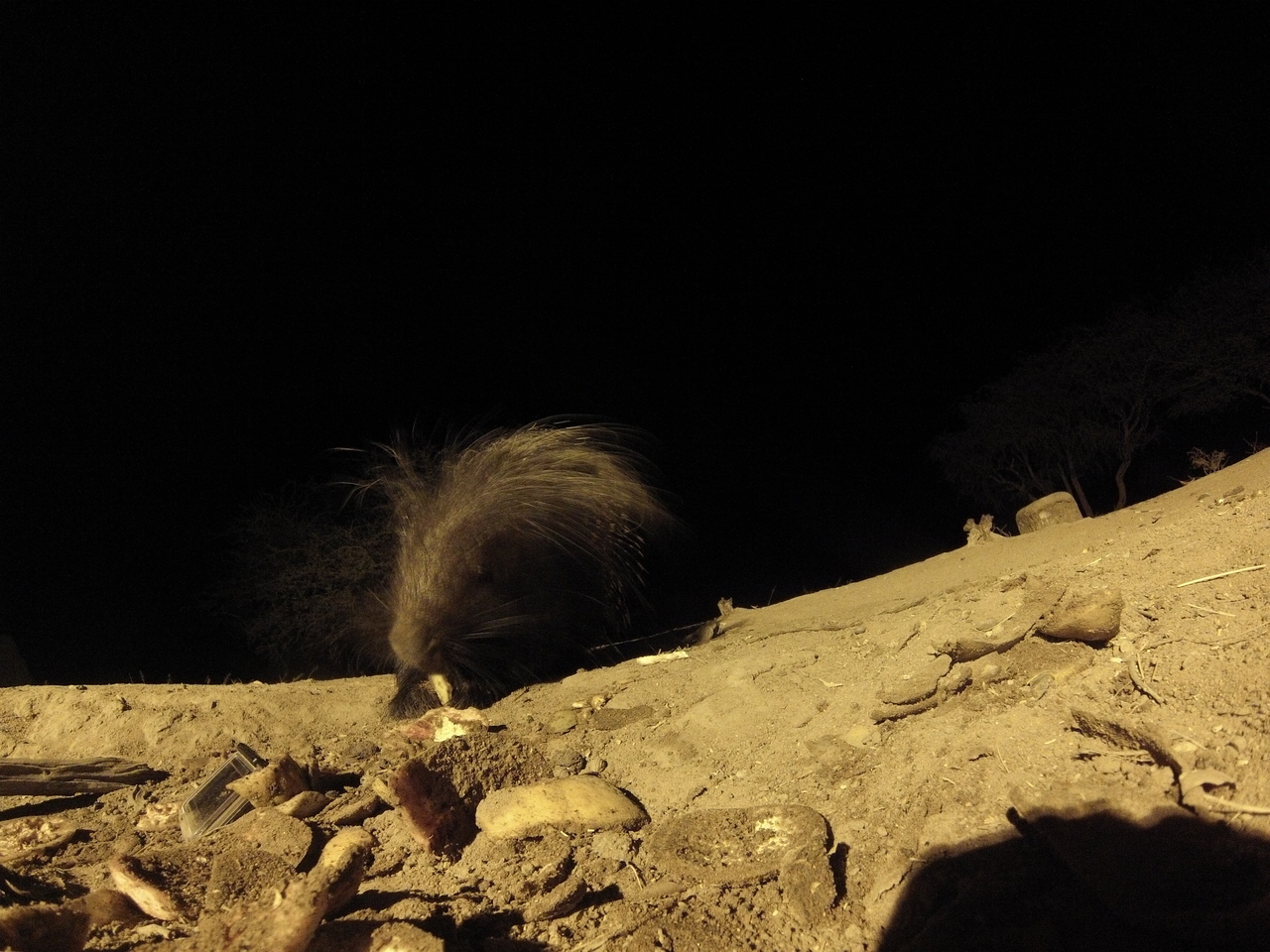 [11365] 2016_06_23_20_00_12_Africa_Hero3-Silver_Edition_IMG__01430.jpg