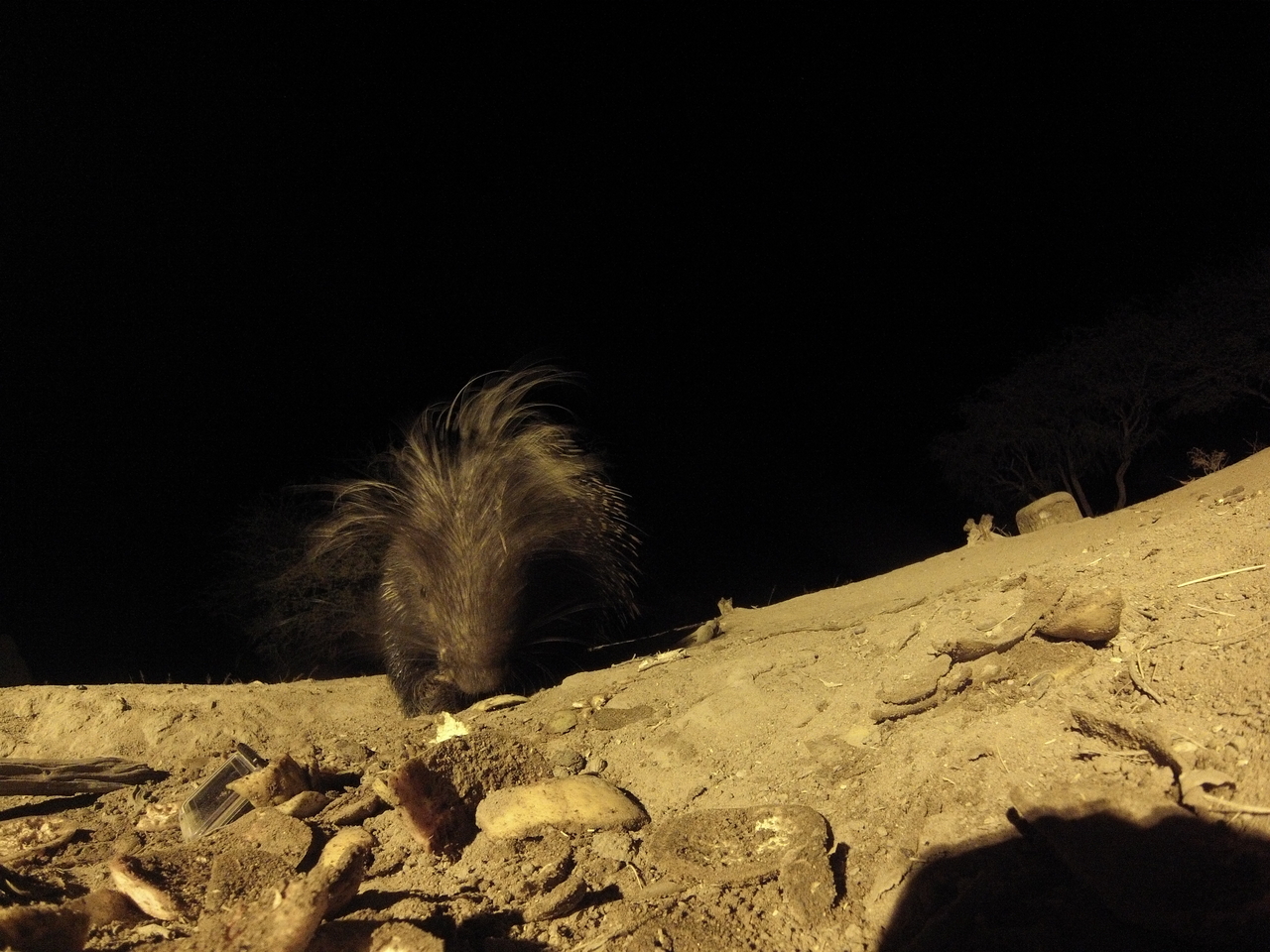 [11405] 2016_06_23_20_00_46_Africa_Hero3-Silver_Edition_IMG__00046.jpg