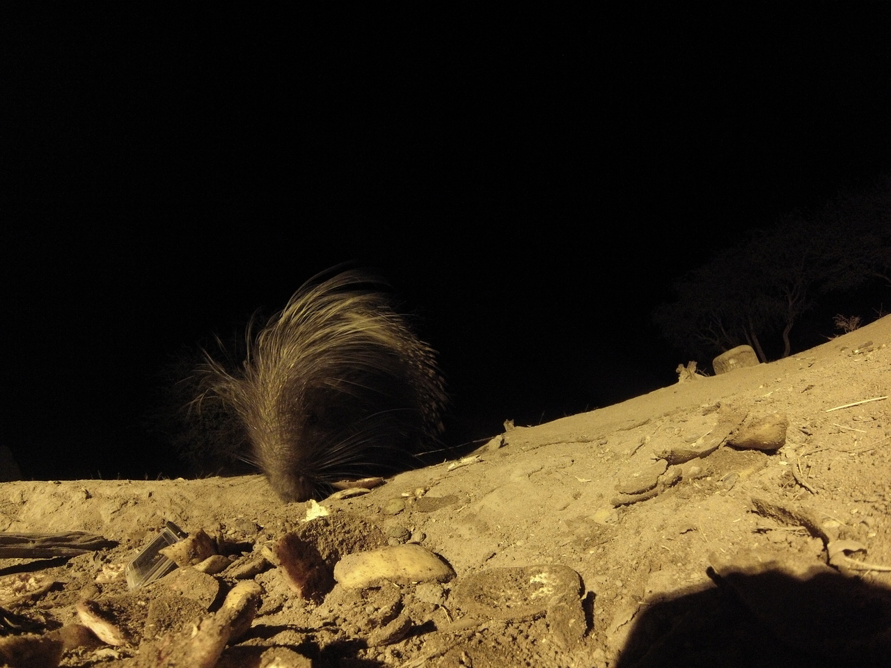 [11410] 2016_06_23_20_00_48_Africa_Hero3-Silver_Edition_IMG__00047.jpg