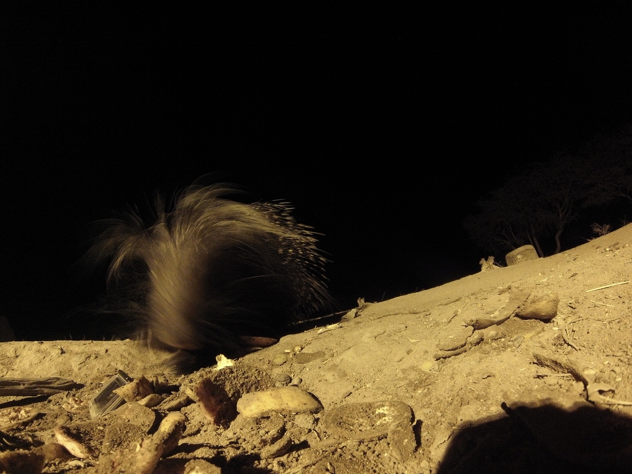 [11447] 2016_06_23_20_01_20_Africa_Hero3-Silver_Edition_IMG__01001.jpg