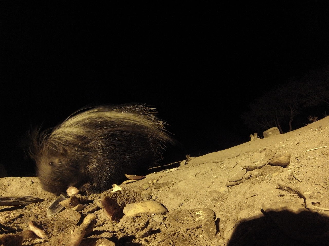 [11464] 2016_06_23_20_01_34_Africa_Hero3-Silver_Edition_IMG__00059.jpg