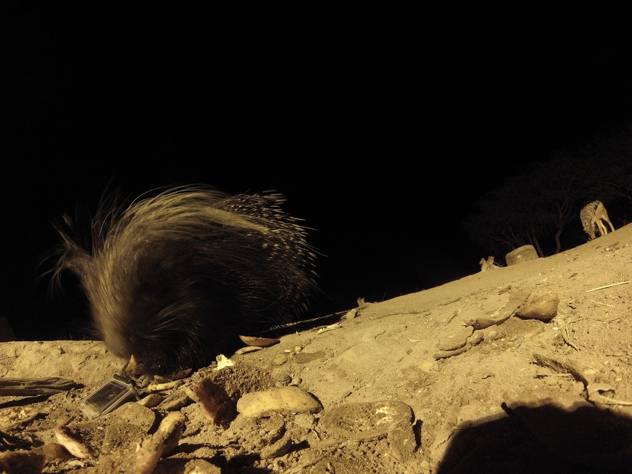 [11511] 2016_06_23_20_02_08_Africa_Hero3-Silver_Edition_IMG__00070.jpg