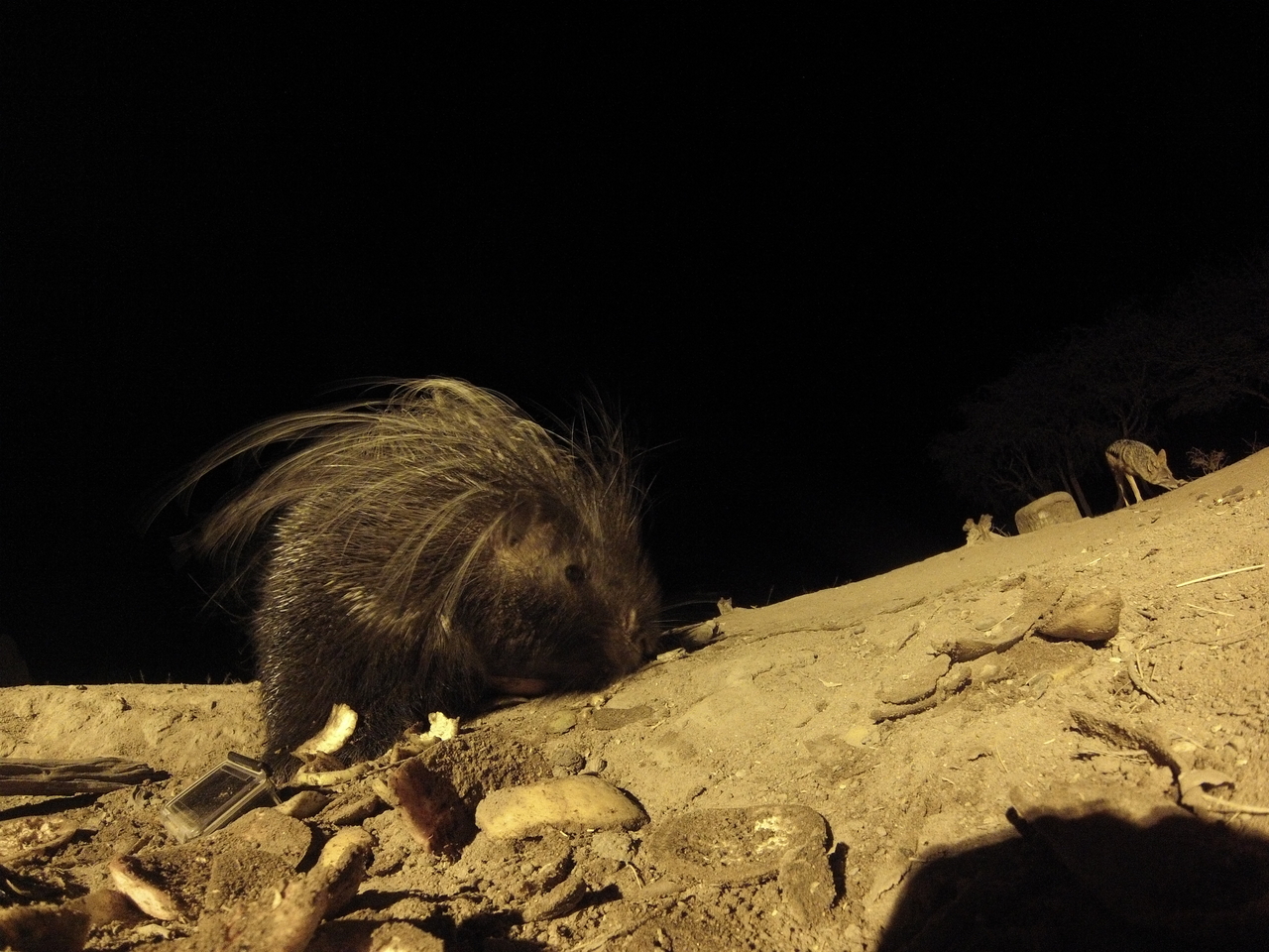 [11529] 2016_06_23_20_02_22_Africa_Hero3-Silver_Edition_IMG__00074.jpg