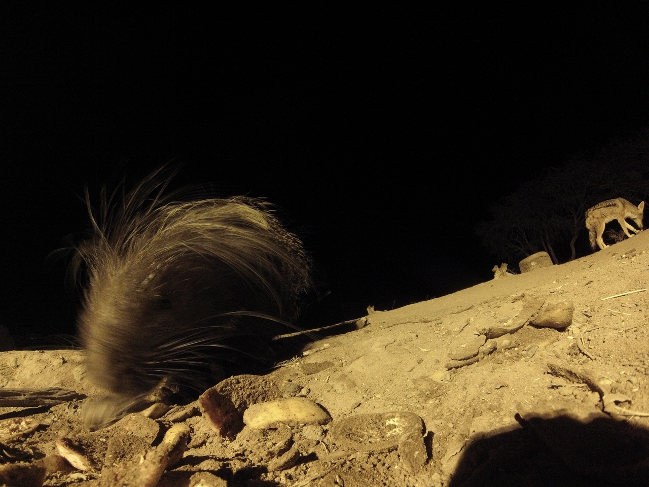 [11547] 2016_06_23_20_02_36_Africa_Hero3-Silver_Edition_IMG__01472.jpg