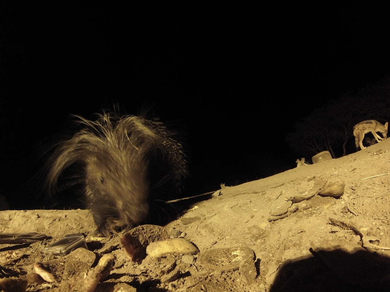 [11552] 2016_06_23_20_02_41_Africa_Hero3-Silver_Edition_IMG__01473.jpg