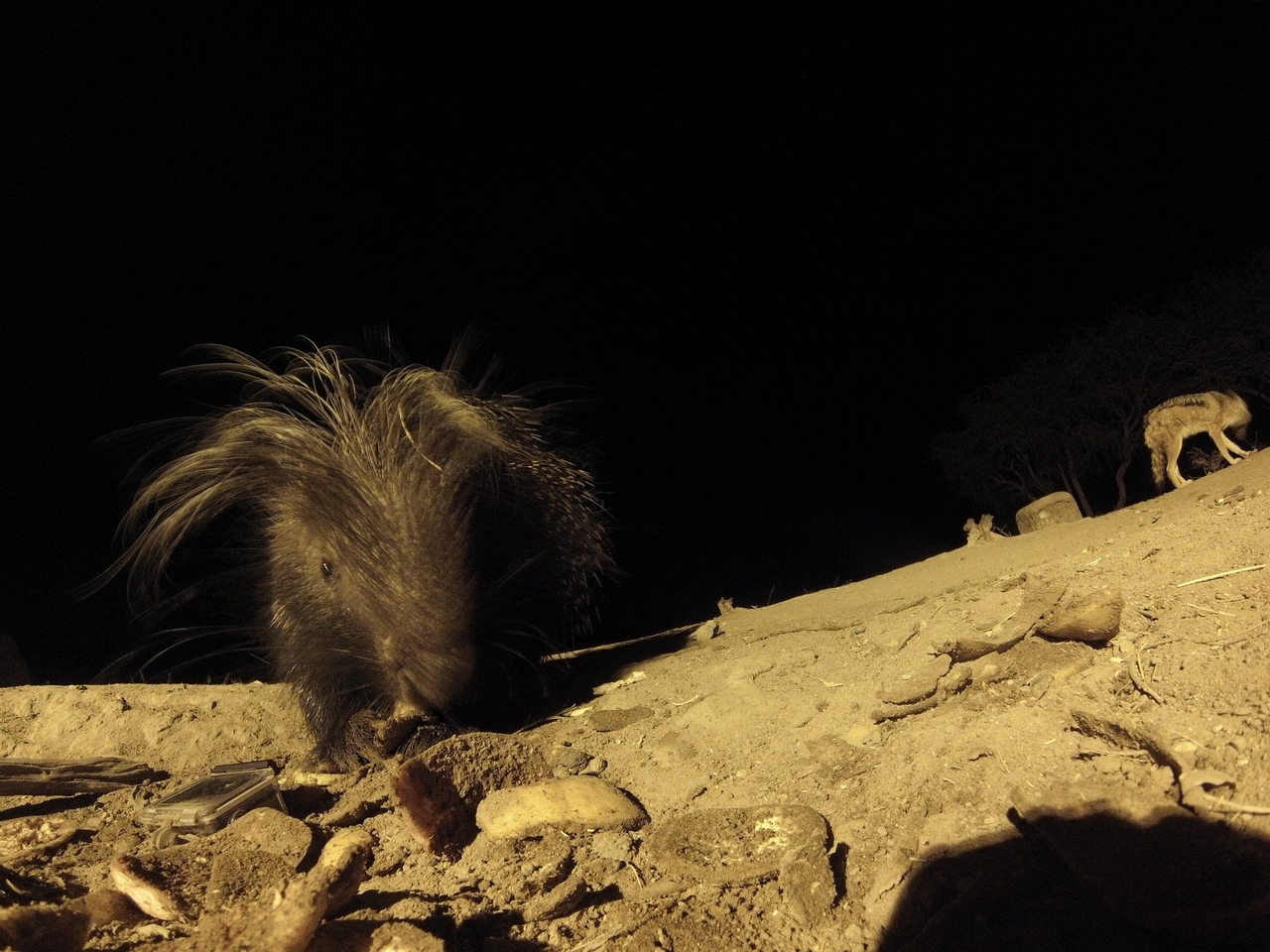 [11556] 2016_06_23_20_02_44_Africa_Hero3-Silver_Edition_IMG__01026.jpg