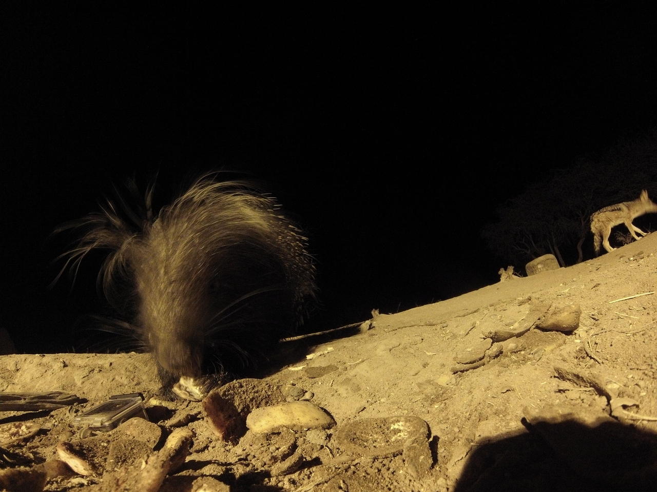 [11579] 2016_06_23_20_03_02_Africa_Hero3-Silver_Edition_IMG__01031.jpg