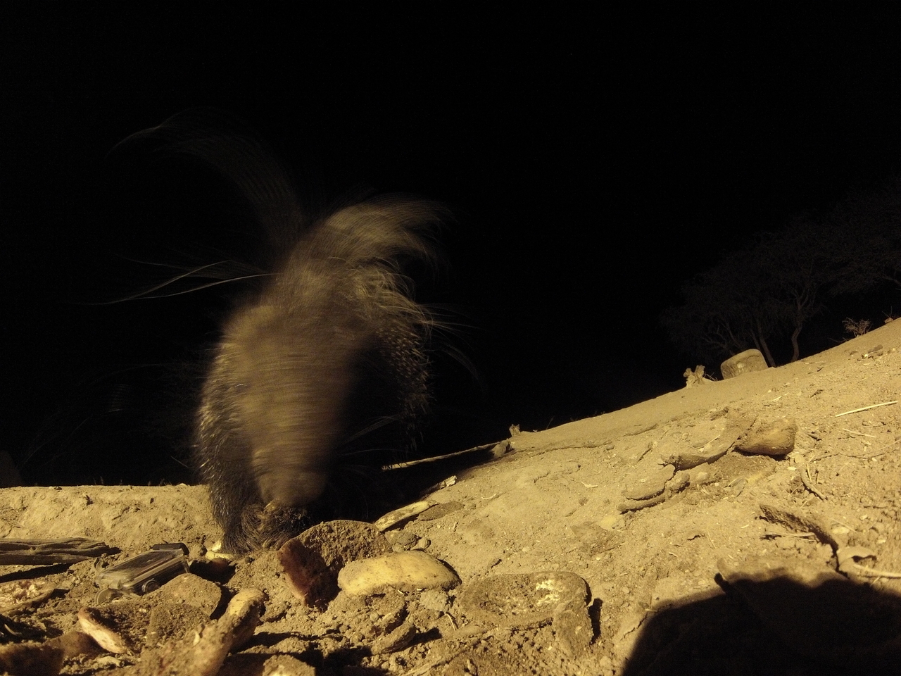 [11600] 2016_06_23_20_03_20_Africa_Hero3-Silver_Edition_IMG__01036.jpg