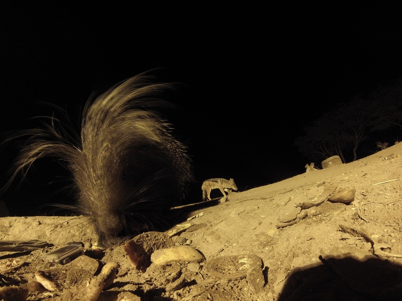 [11606] 2016_06_23_20_03_24_Africa_Hero3-Silver_Edition_IMG__01485.jpg