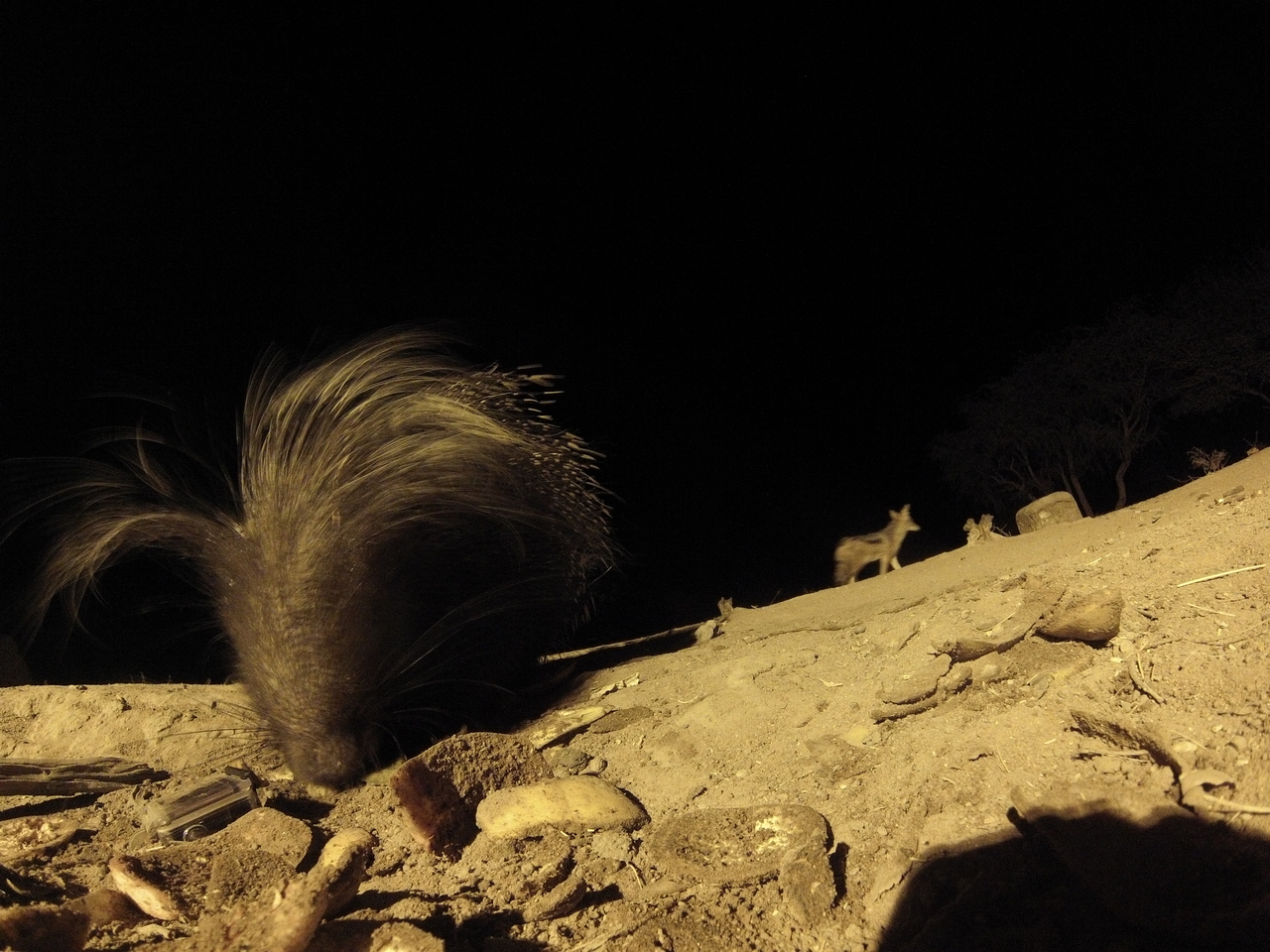 [11622] 2016_06_23_20_03_40_Africa_Hero3-Silver_Edition_IMG__00095.jpg