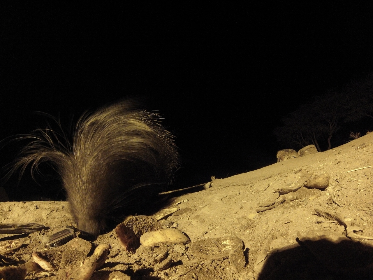 [11628] 2016_06_23_20_03_44_Africa_Hero3-Silver_Edition_IMG__01042.jpg