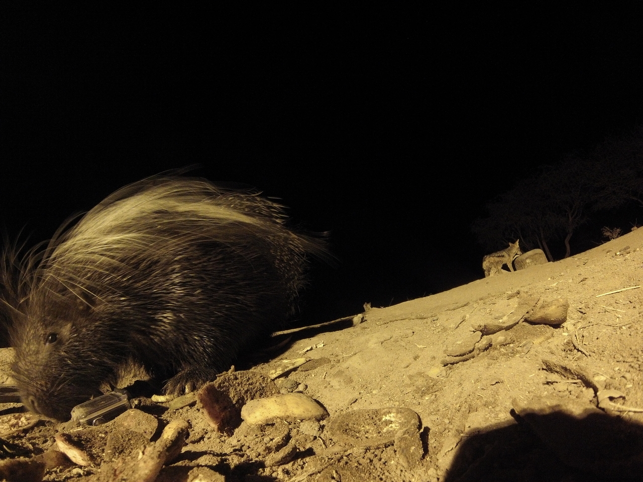 [11637] 2016_06_23_20_03_50_Africa_Hero3-Silver_Edition_IMG__01492.jpg