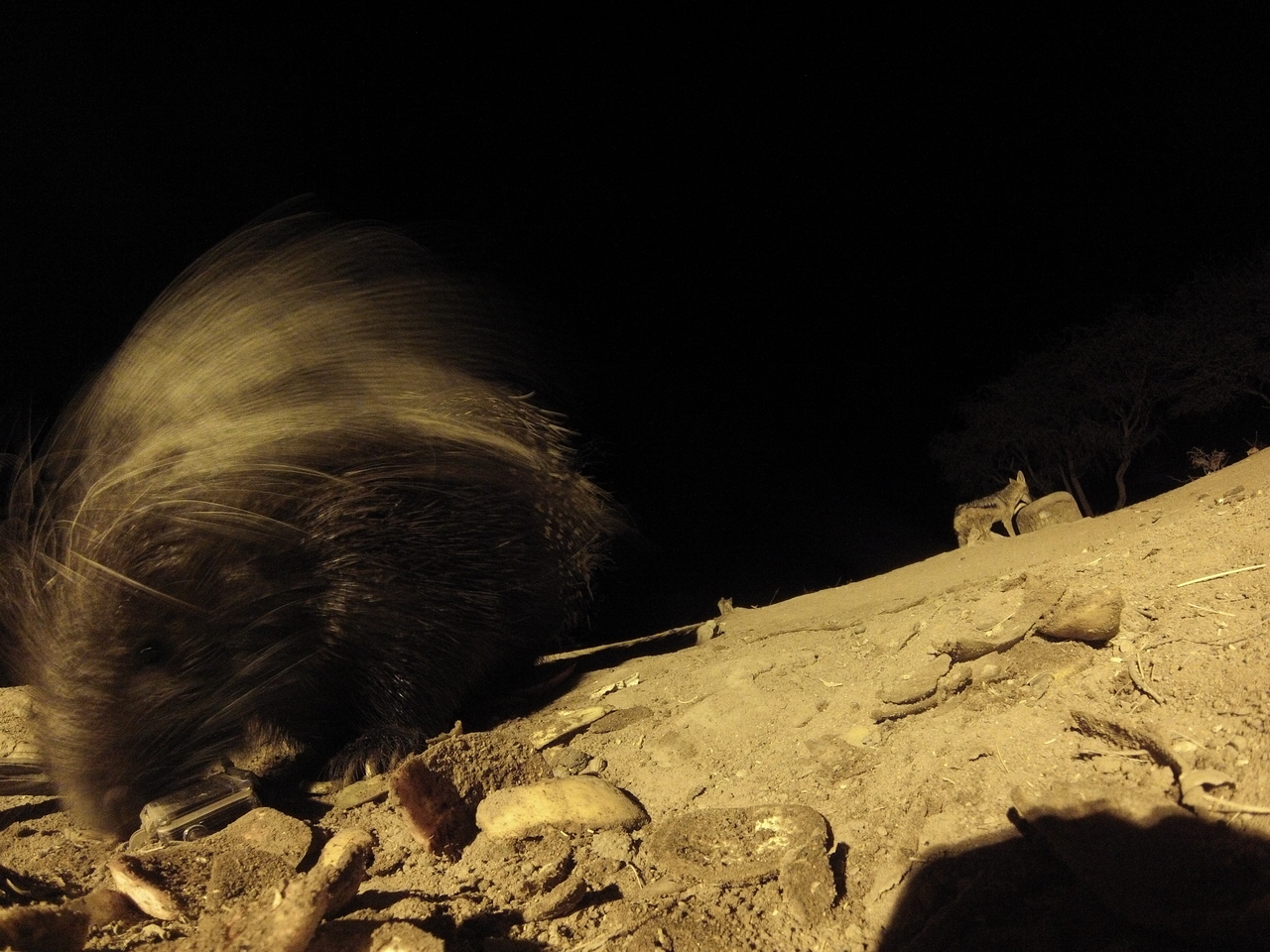 [11640] 2016_06_23_20_03_54_Africa_Hero3-Silver_Edition_IMG__00099.jpg