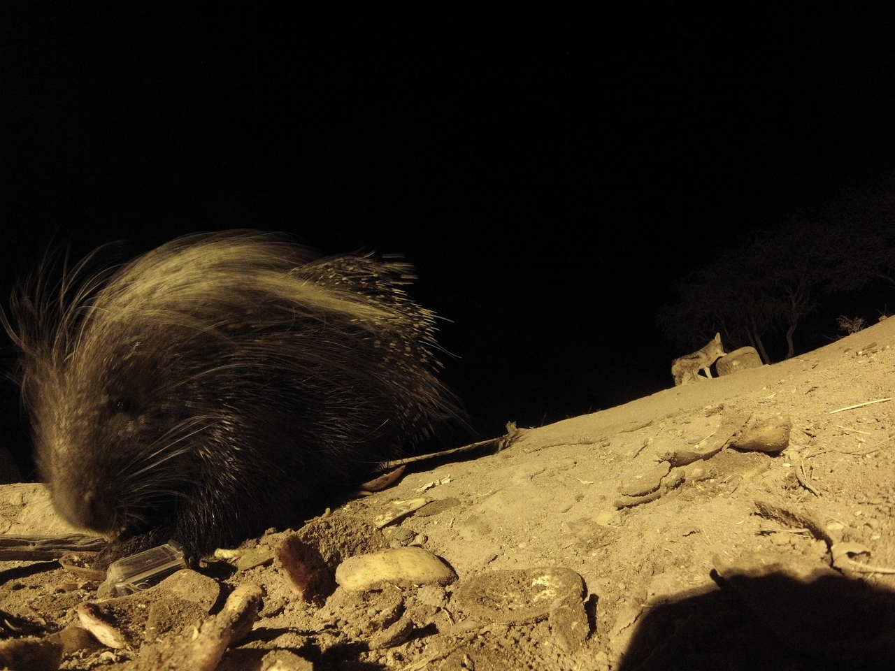 [11647] 2016_06_23_20_03_58_Africa_Hero3-Silver_Edition_IMG__01494.jpg