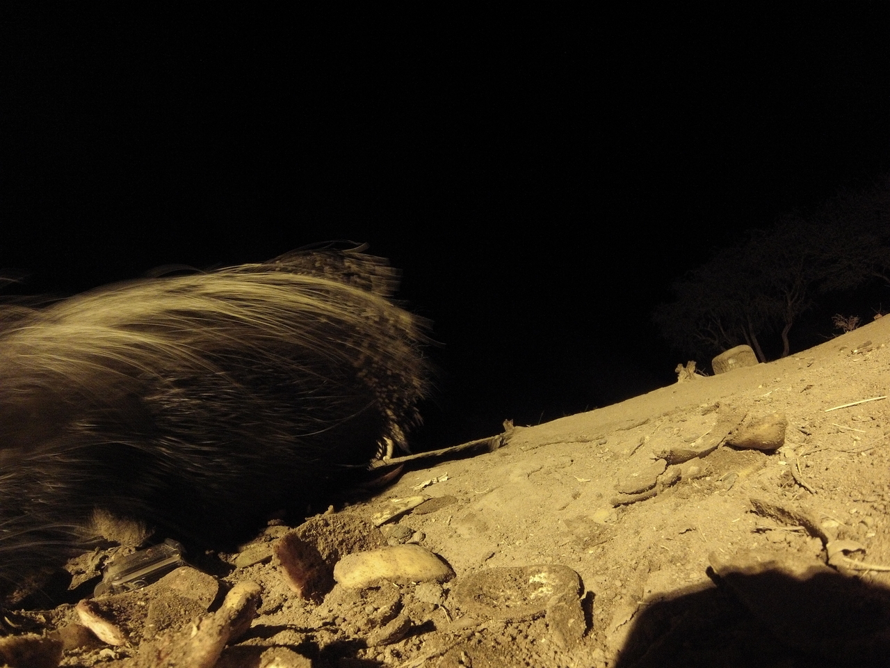 [11700] 2016_06_23_20_04_44_Africa_Hero3-Silver_Edition_IMG__01058.jpg