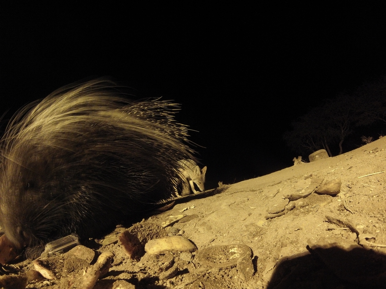 [11704] 2016_06_23_20_04_48_Africa_Hero3-Silver_Edition_IMG__00113.jpg