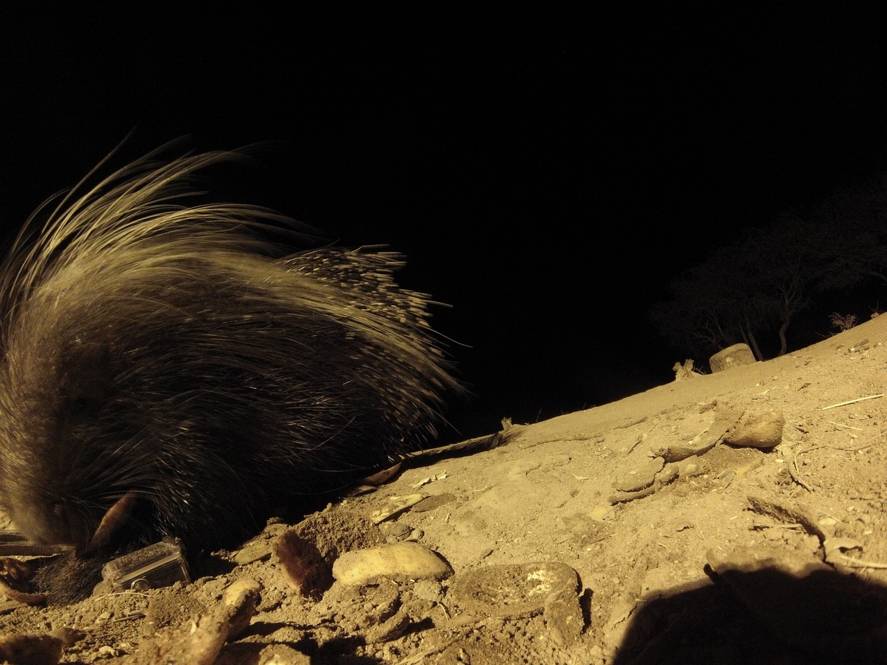 [11769] 2016_06_23_20_05_38_Africa_Hero3-Silver_Edition_IMG__00128.jpg