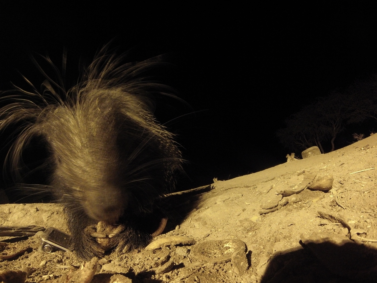 [11807] 2016_06_23_20_06_08_Africa_Hero3-Silver_Edition_IMG__01530.jpg