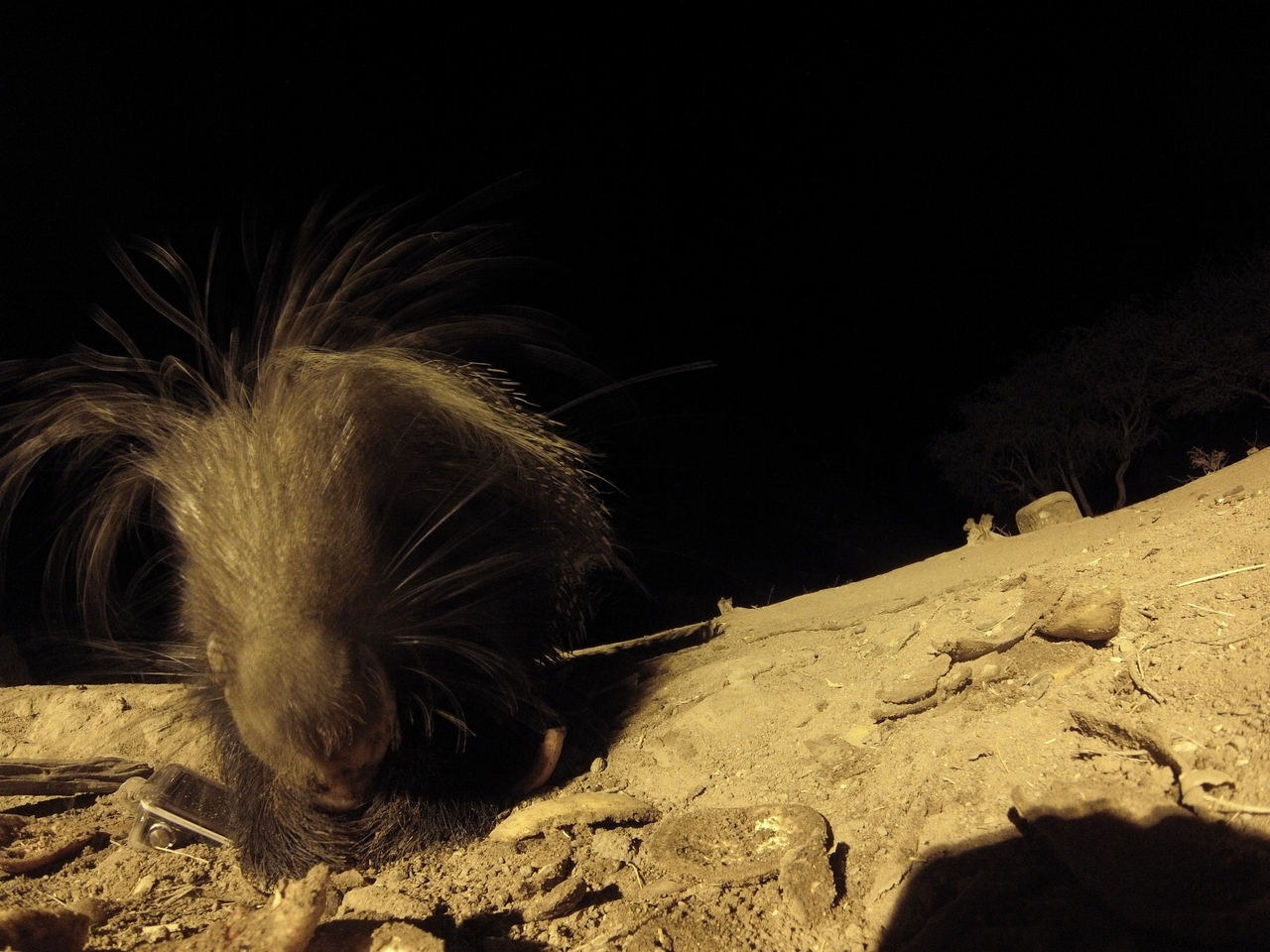 [11817] 2016_06_23_20_06_17_Africa_Hero3-Silver_Edition_IMG__01532.jpg