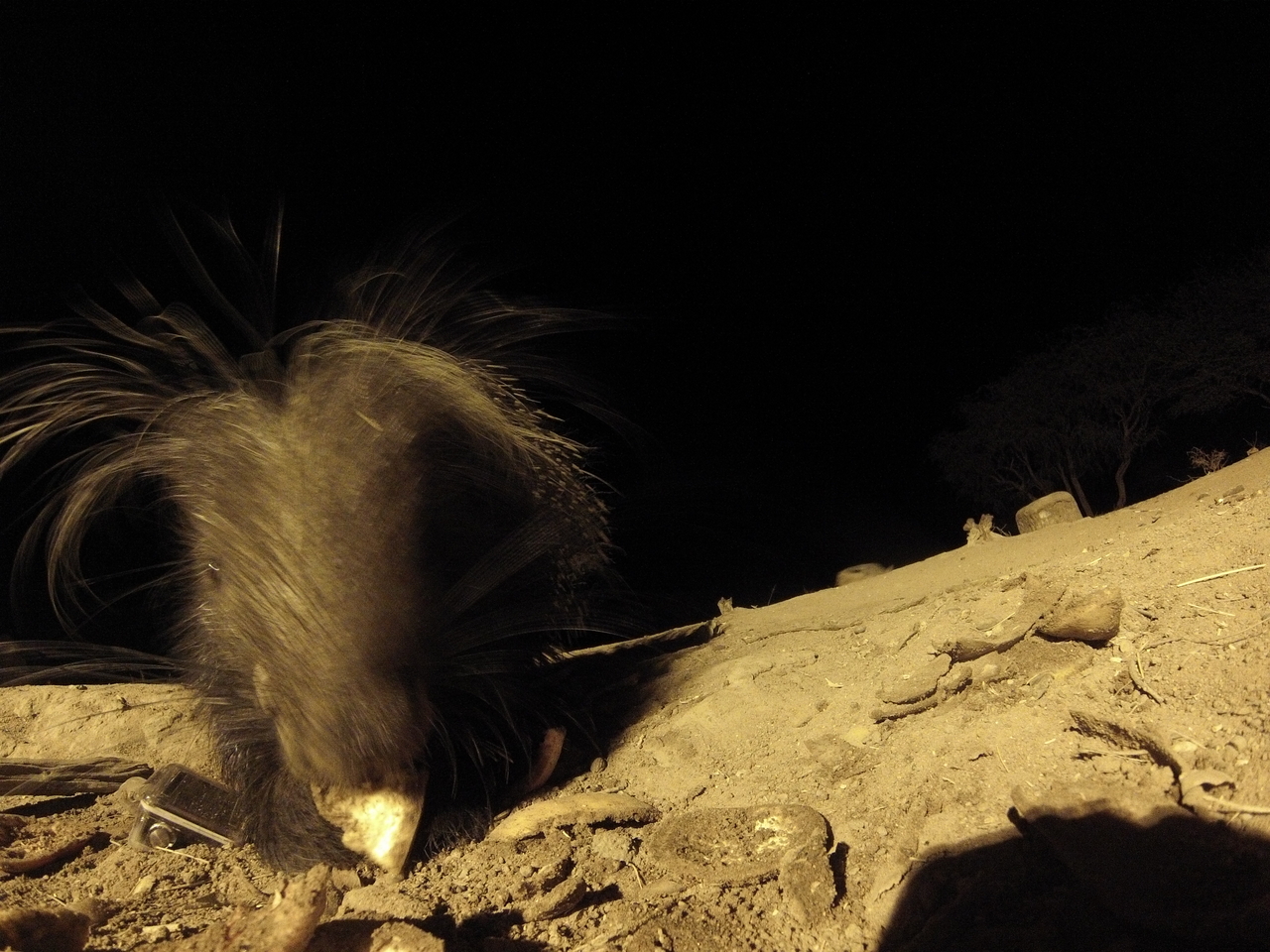 [11825] 2016_06_23_20_06_25_Africa_Hero3-Silver_Edition_IMG__01534.jpg