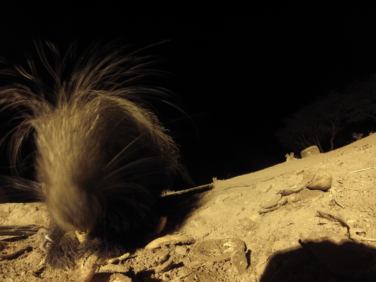 [11841] 2016_06_23_20_06_41_Africa_Hero3-Silver_Edition_IMG__00144.jpg