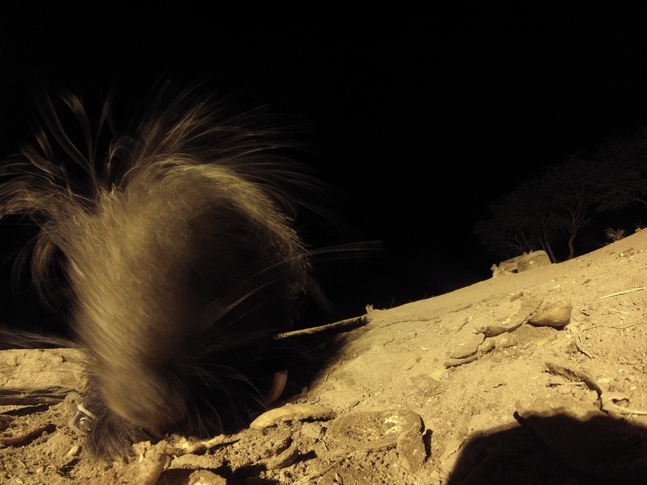 [11856] 2016_06_23_20_06_53_Africa_Hero3-Silver_Edition_IMG__00147.jpg