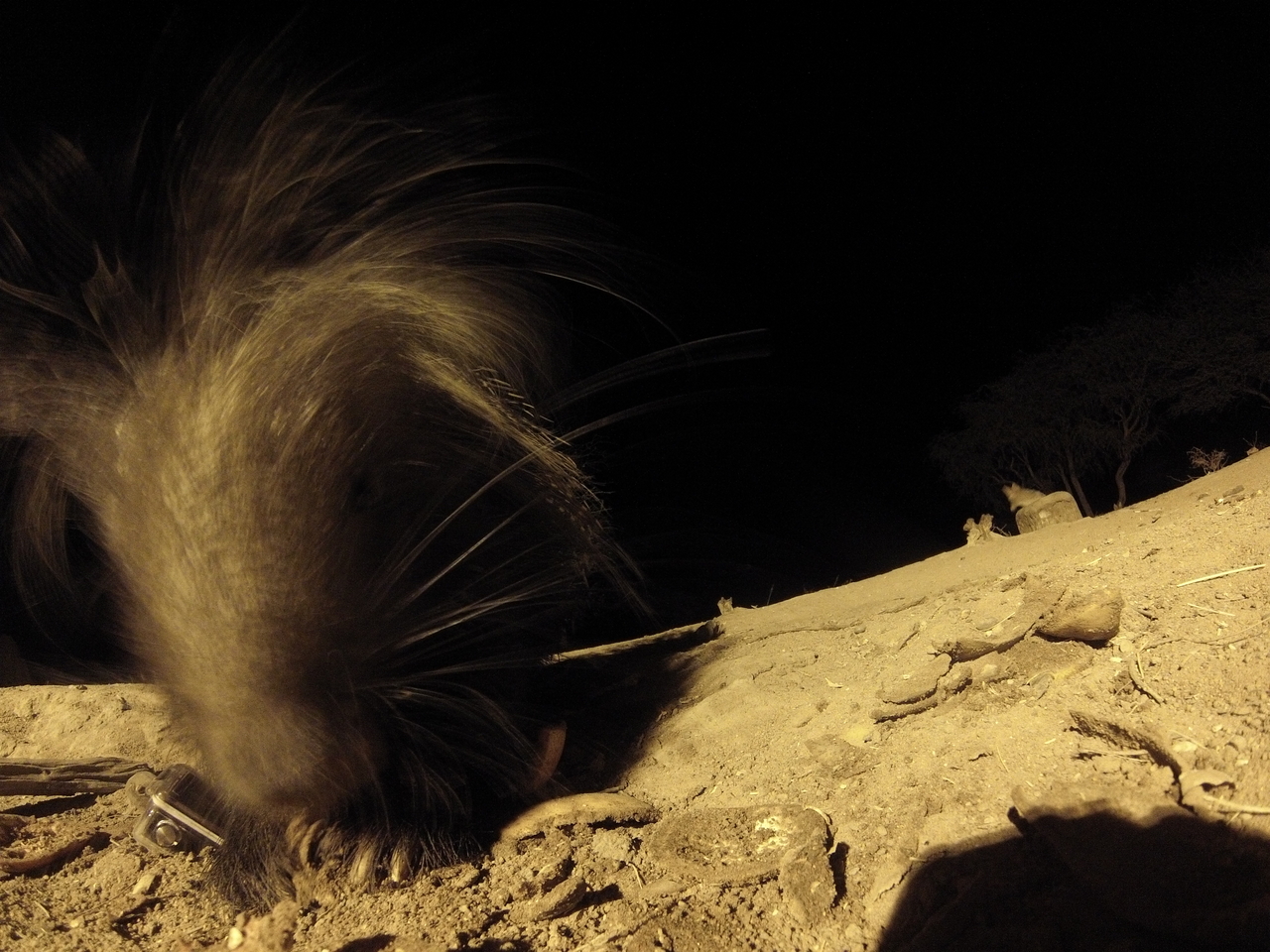 [11869] 2016_06_23_20_07_05_Africa_Hero3-Silver_Edition_IMG__00150.jpg